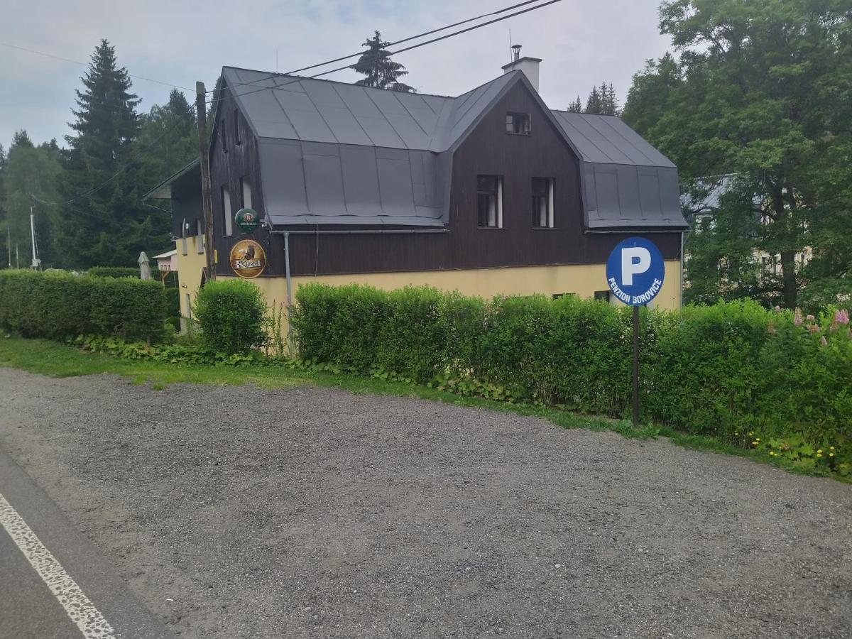 Penzion Borovice Йозефув-Дул Экстерьер фото