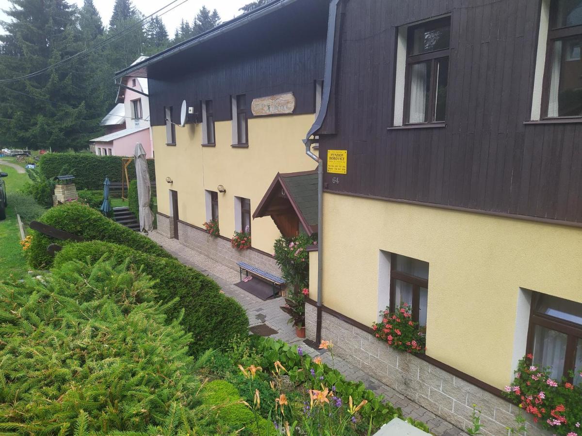 Penzion Borovice Йозефув-Дул Экстерьер фото