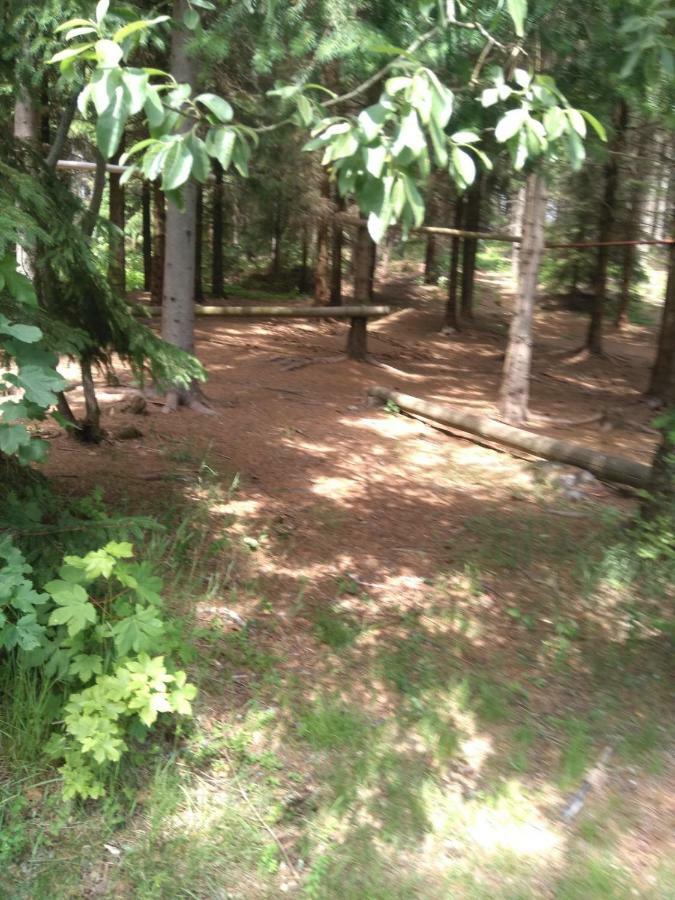 Penzion Borovice Йозефув-Дул Экстерьер фото